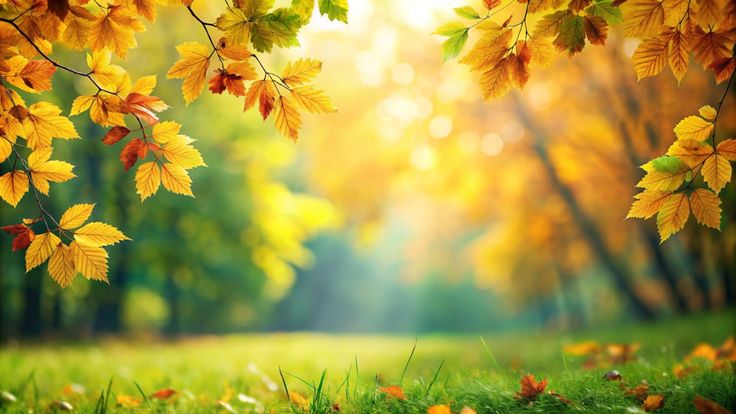 Natural Background with flower in a vase on a window sill, bathed in sunlight