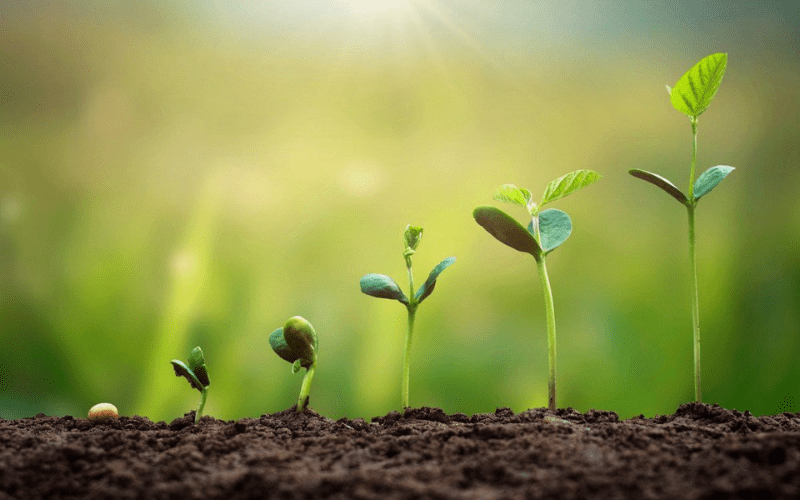 green Background Image