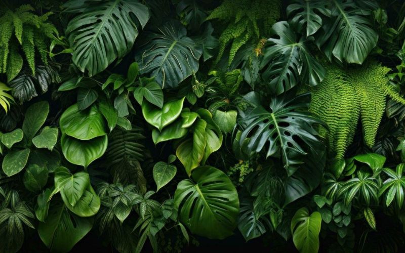 green plant and leaf Background Image