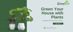 Low-Maintenance Plants