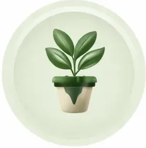 Contact plant store India